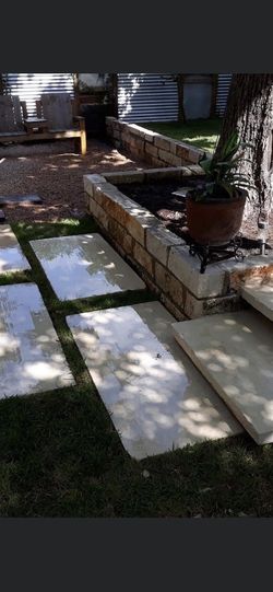 Todo Tipo De Plantas Y Arboles Basura Mandar Mensaje Para Mas Información