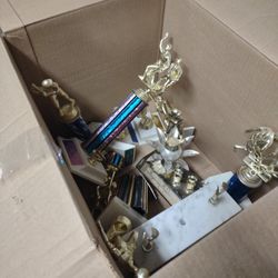 Assorted Trophies