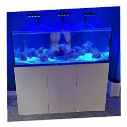 Full Aquarium Tank - Spacious & Eye-Catching center member