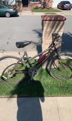 Vintage Peugeot bike