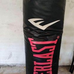 Everlast Weighted Stand With Punching Bag 100 Pounds And Speed Bag