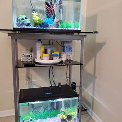 ‼️MUST GO‼️FISH TANK ACCESSORIES 