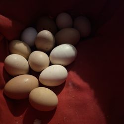 Farm Fresh Eggs