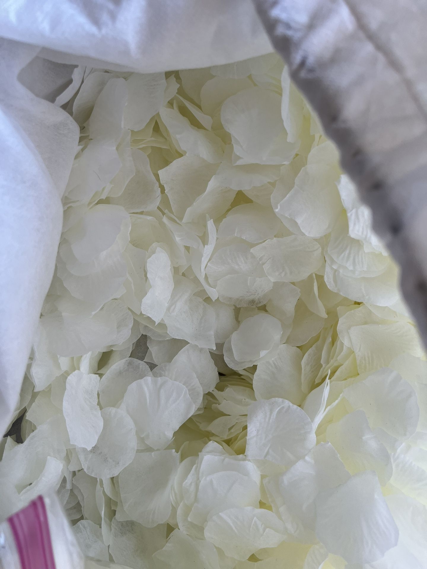 Flower Petals