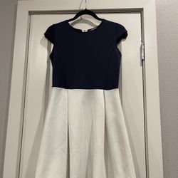 Navy Blue And White Dress 