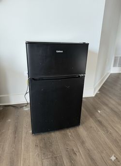 Two-Door Compact Refrigerator with Separate Freezer
