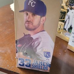 Bobblehead James Shields 2014