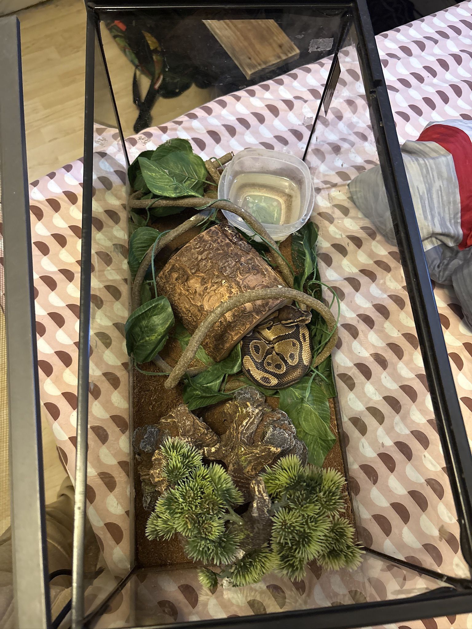 SNAKE ENCLOSURE