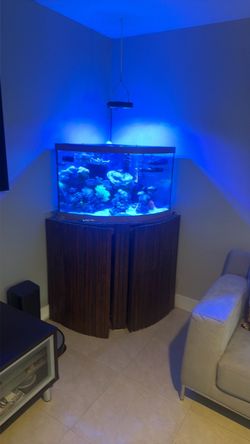 Corner Reef Aquarium with Wood Cabinet Stand