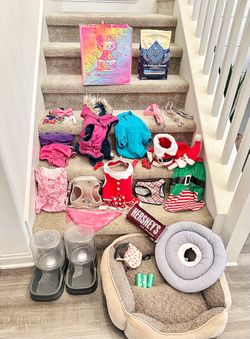 Entire Set of Dog/Puppy Supplies