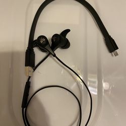 Jaybird Earbuds