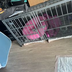 Dog Cage