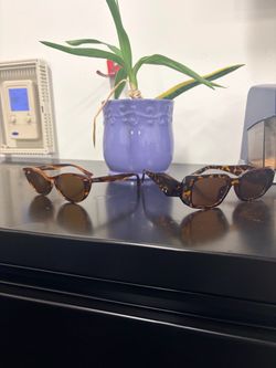 Two pair of women, designer, glasses, Ray bands, and a pair of products