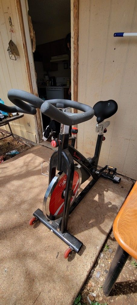 Indoor/outdoor Exercise Bike