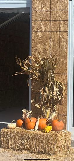 Halloween/Fall Decor