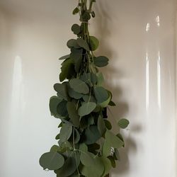 Fresh Hanging Eucalyptus Shower Bundles 