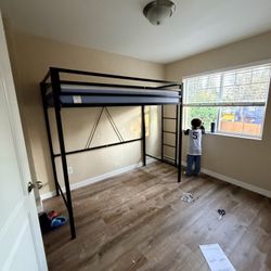 Twin Loft Bed