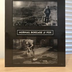 New Murnau, Borzage, and Fox  Boxset (DVD, 2008, 12-Disc Set) 