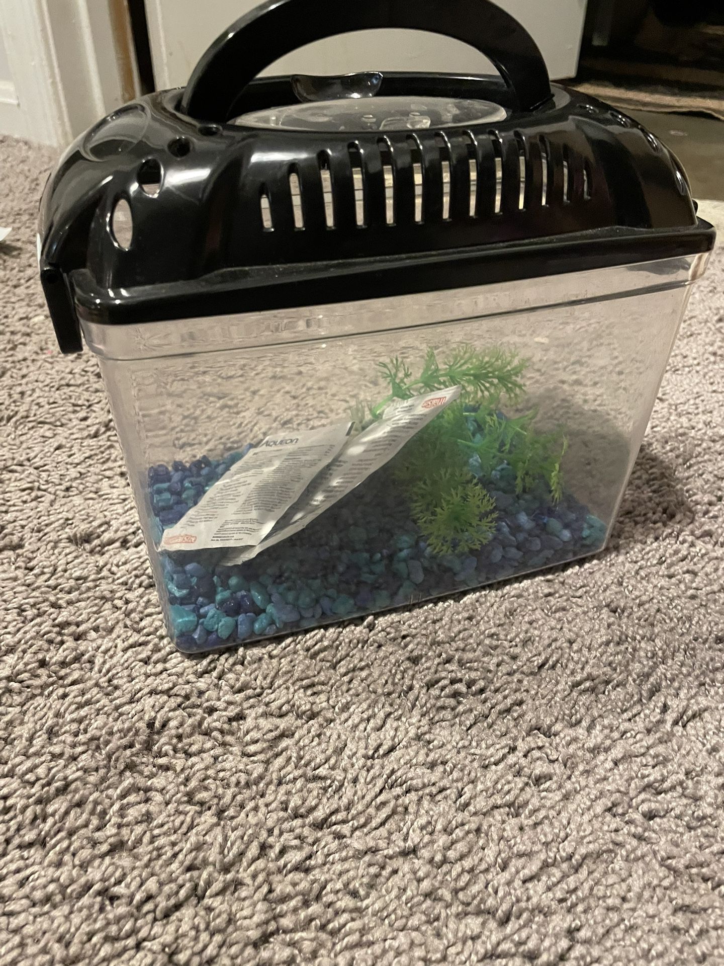 Fish Tank (small)