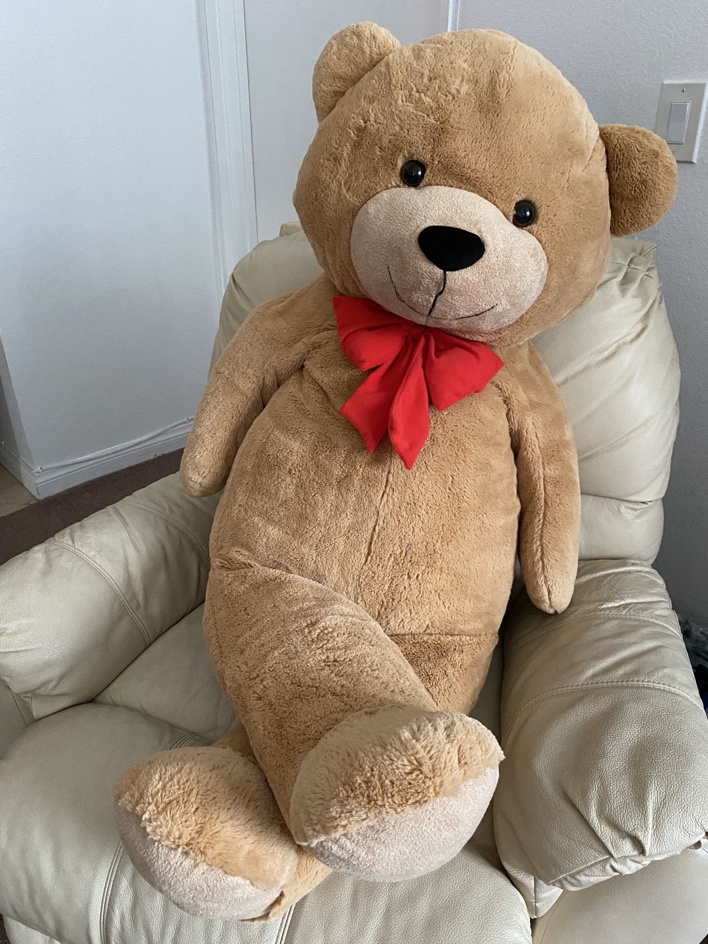 Plush Teddy Bear