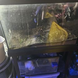 20 Gallon Tank