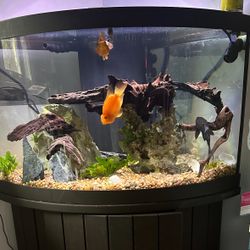 Aquarium w/ stand