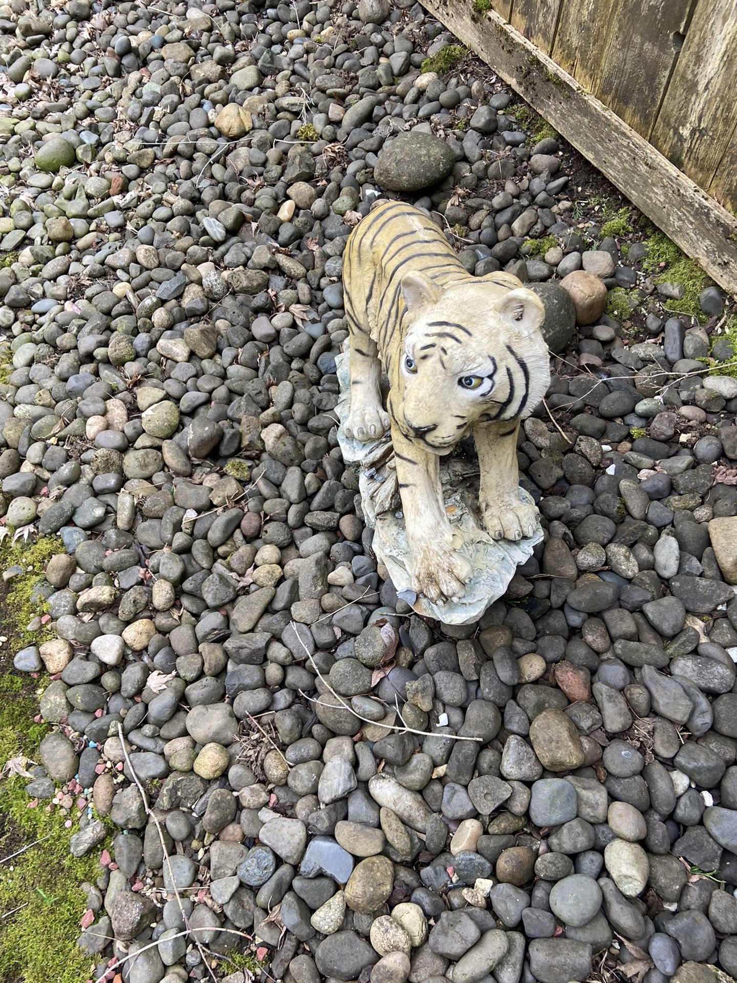 Tiger Statue