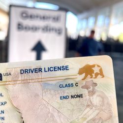 Need Authentic Document?