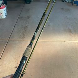 Fenwick Eagle Baitcaster 