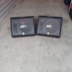 Peavey Monitors Model 115 TLM Asking $325.00 Obo 