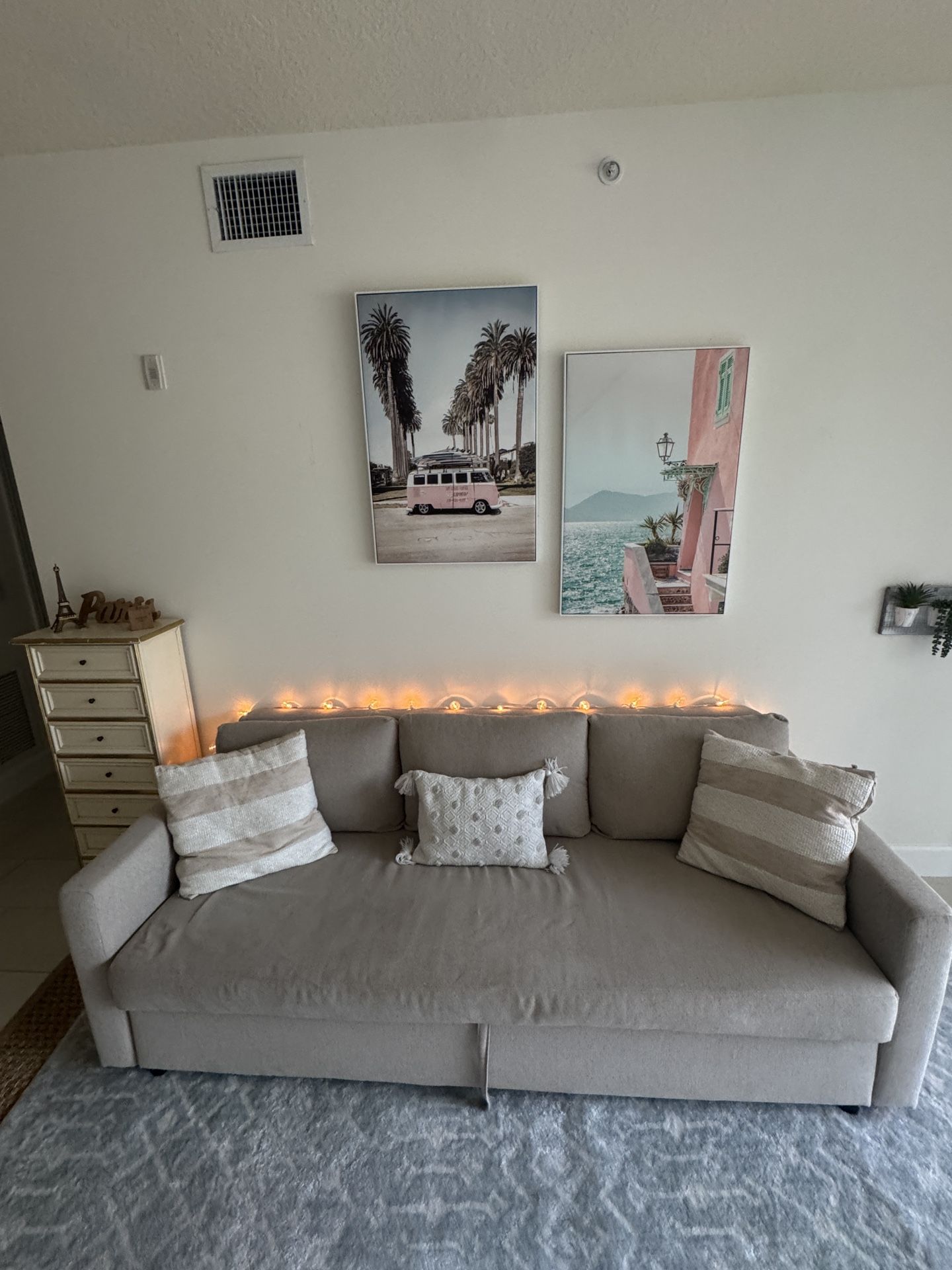 Gray Pull Out Couch