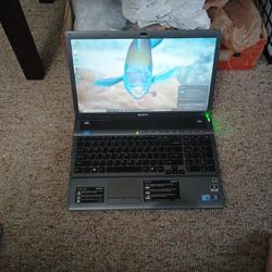 Sony Vaio Laptop