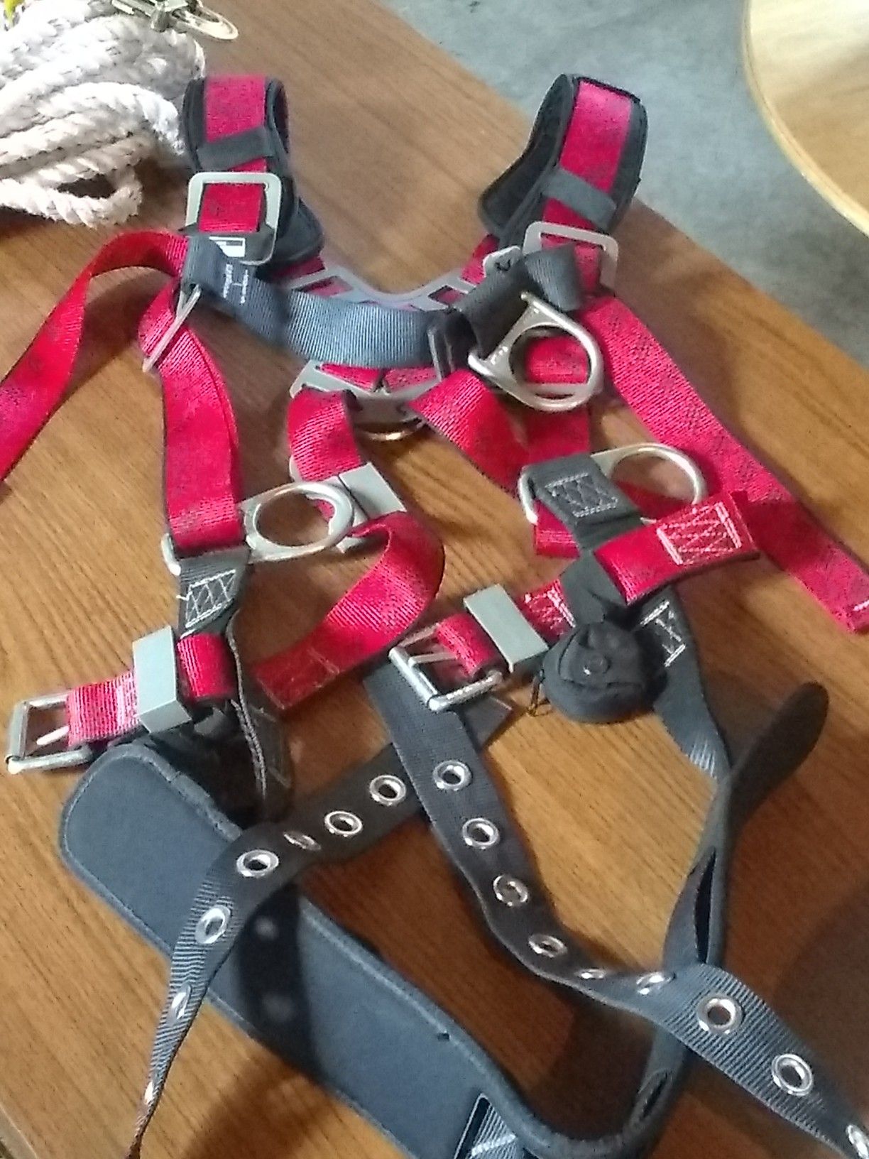 Sala harness with guardian and rope with attachments