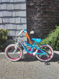 16" Schwinn IRIS Kids Bike