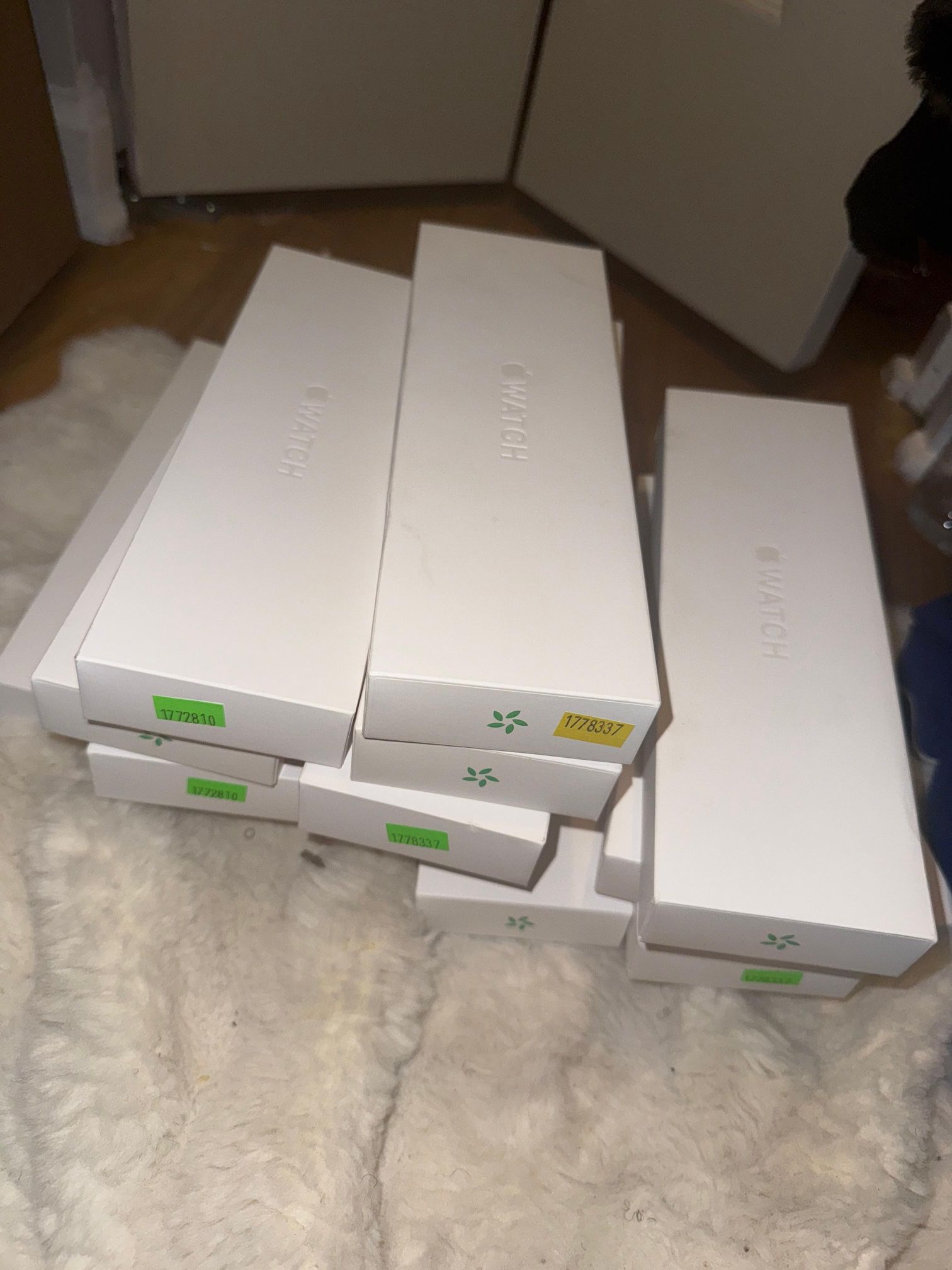 Apple Watch