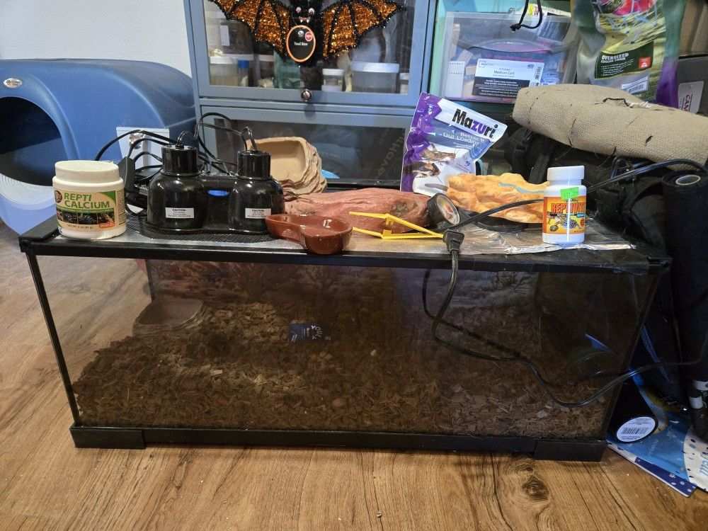 20 Gallon Reptile Tank W/ Accessories