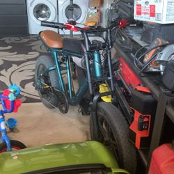 🔥cool E-bike ( Read Description) 