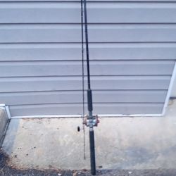 10 Foot Rod And Reel Combo 