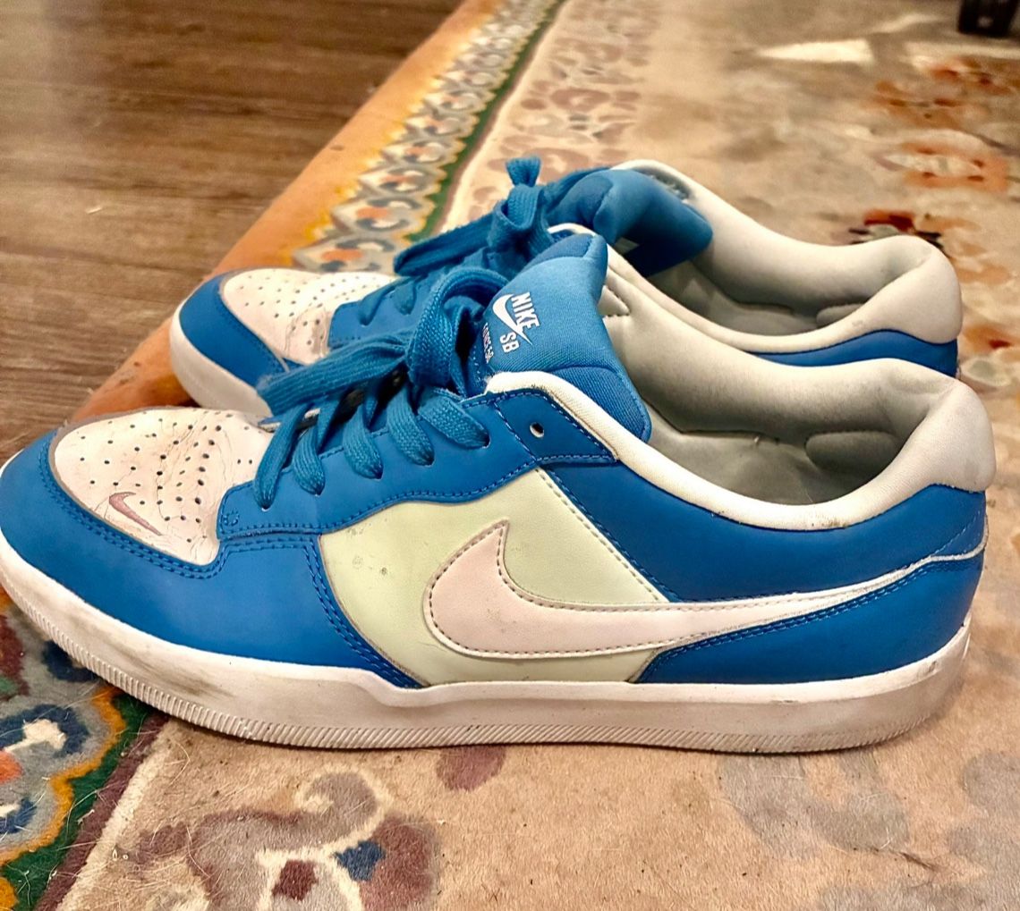 Nike SB Force 58 Shoes