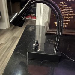 Adjustable Dual Gooseneck LED Light