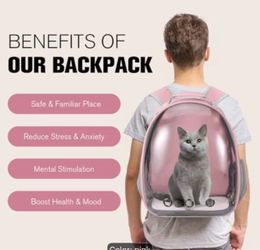 Animal carrier pink and green
