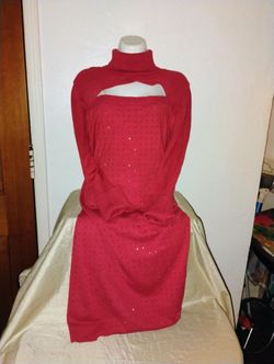 Elegant Red Dress Plus Size 2X