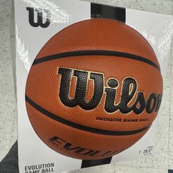 Wilson Evolution Basketball
