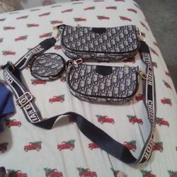 Christian Dior Mini Handbag 3 Piece Set