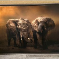 Elephant Print 