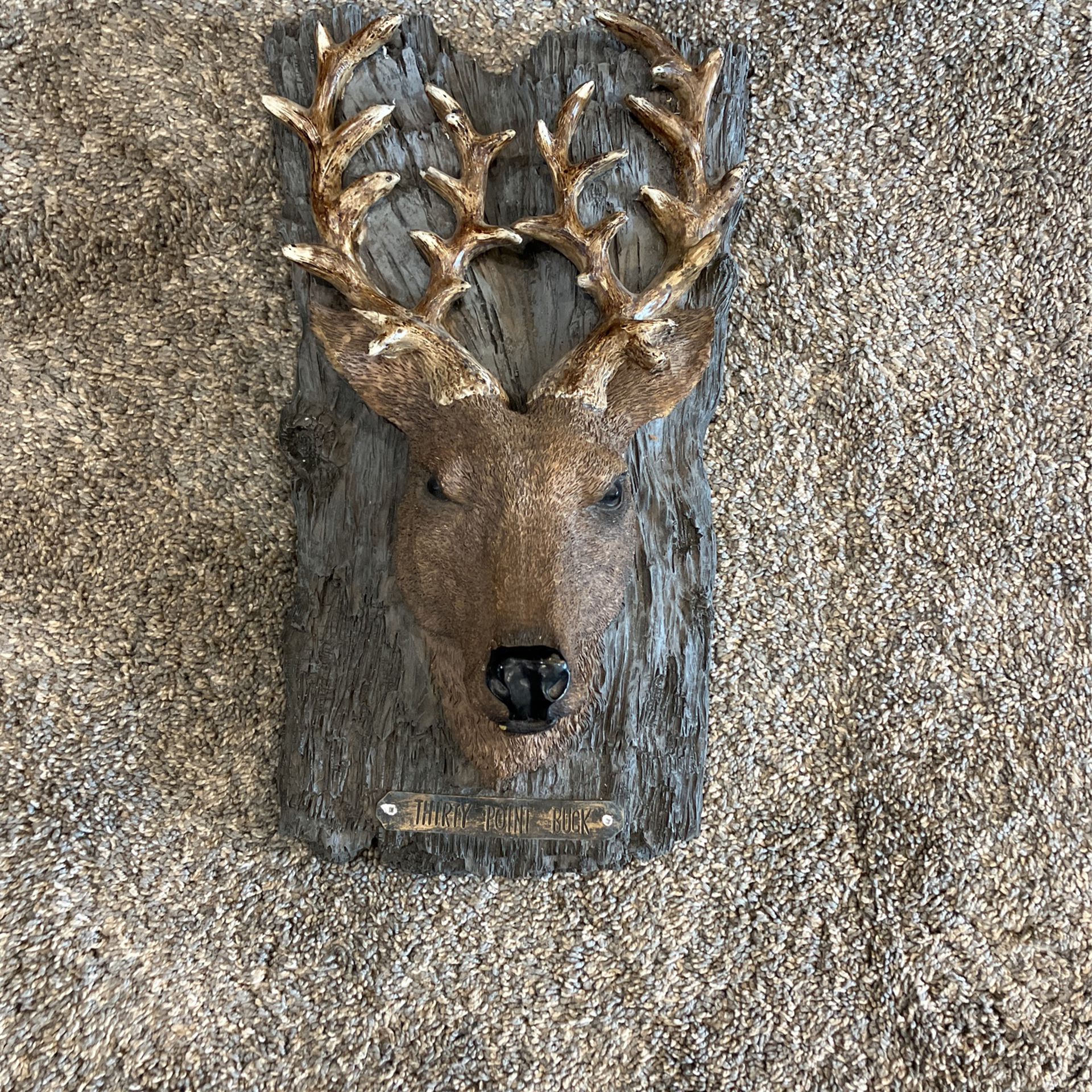 30 Point Buck Wall Sign