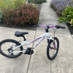 Specialized 20” Bike