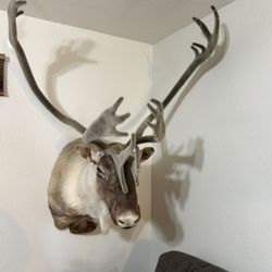 Random Items For Sale