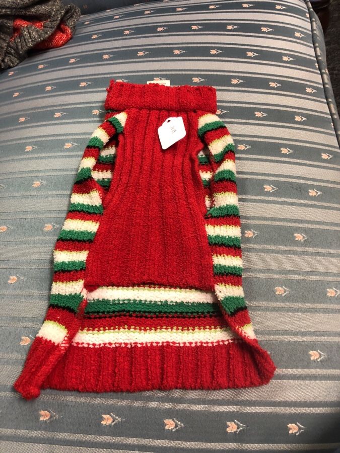 Small dog outfit