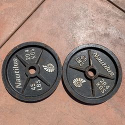 45lb Cast Iron Plates